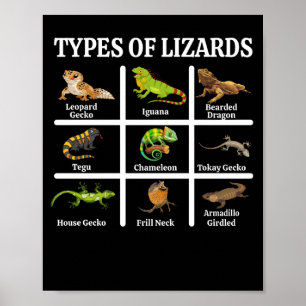 Affiche Types de lézards Lizard Reptiles