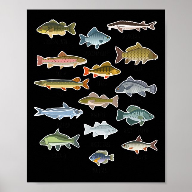 Affiche Types De Pêche Au Poisson D'Eau Douce (Devant)