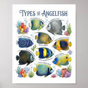 Affiche Types de poissons-anges aquarelle Art de poissons