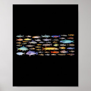 Affiche Types de poissons d'eau douce Biologie de la pêche