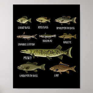 Affiche Types De Poissons D'Eau Douce Espèces Pêche