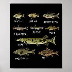 Affiche Types de poissons d'eau douce Trier les espèces de