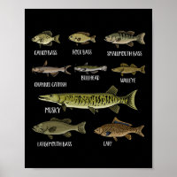 Types de poissons d'eau douce Trier les espèces de