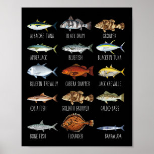 Affiche Types de poissons d'eau salée Biologie Pêche Lo