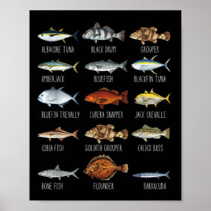 Affiche Types de poissons d'eau salée Espèces Biologie Pêc