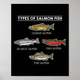Affiche Types De Poissons Saumons Pour La Pêche Saumon