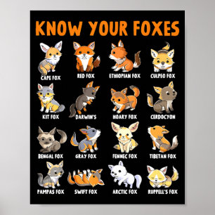 Affiche Types de renards Kawaii renards drôles éducatifs A