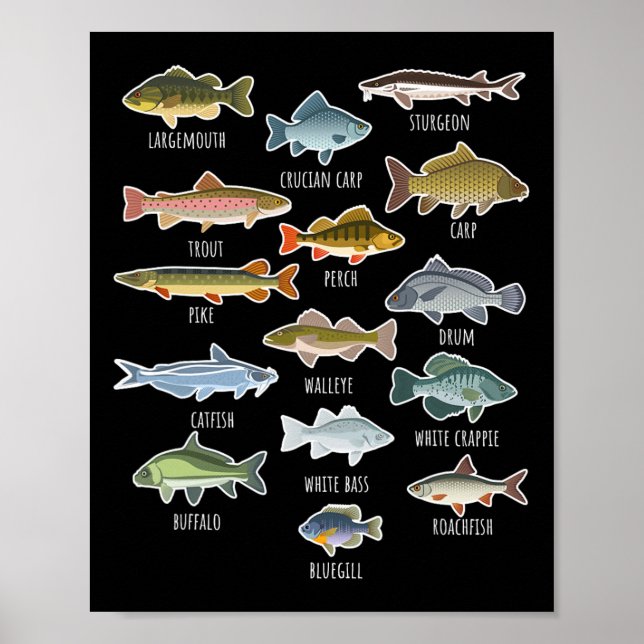 Affiche Types d'espèces de poissons d'eau douce Pêche  (Devant)