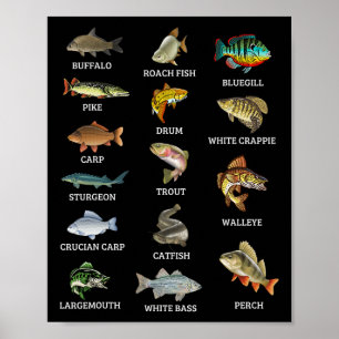 Affiche Types d'espèces de poissons d'eau douce Pêche Pêch