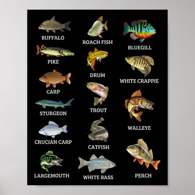 Affiche Types D'Espèces De Poissons D'Eau Douce Pêcheur (Devant)