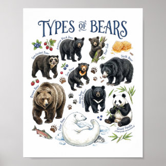 Affiche Types d'ours aquarelle faune art animalier