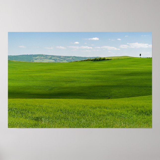 Affiche Typical Tuscany Landscape (Devant)