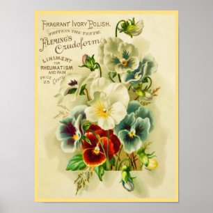 Affiche Typographie vintage et fleurs de sansy décoratives