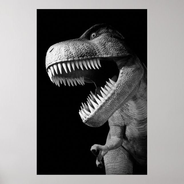 Affiche Tyrannosaurus Rex (Devant)