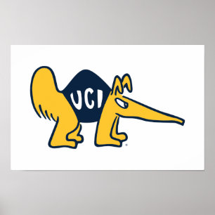 Affiche UC Irvine   Anteaters UCI