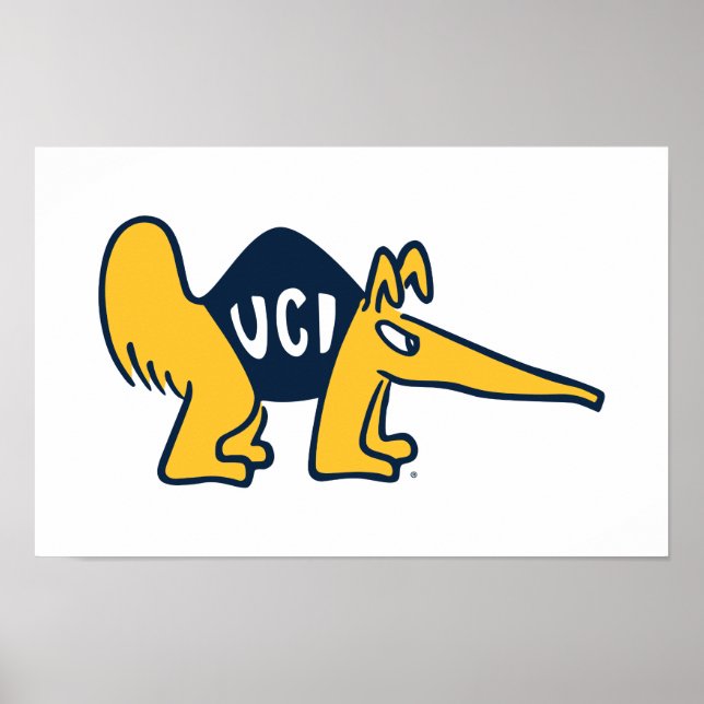 Affiche UC Irvine | Anteaters UCI (Devant)