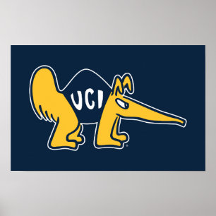 Affiche UC Irvine   Anteaters UCI