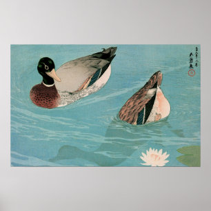 Affiche Ukiyoe [Goyo] Canards (S)