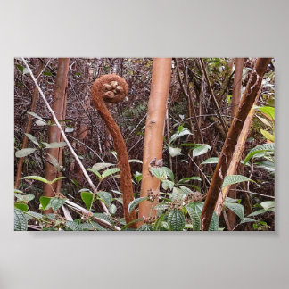AFFICHE ULUHE FERN