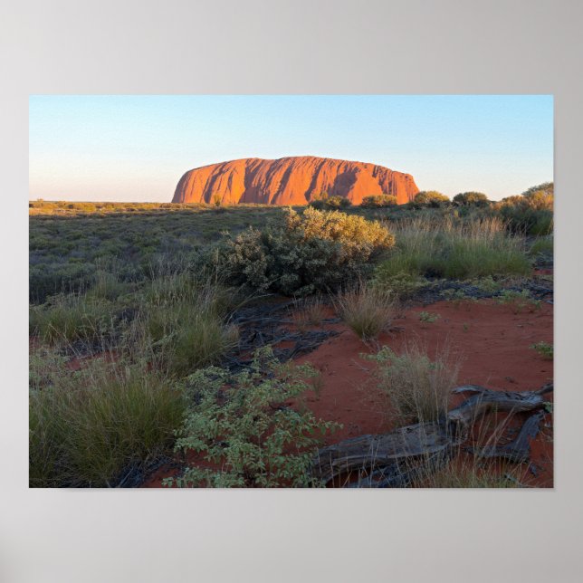 Affiche Uluru Sunrise et Flore du désert (Devant)