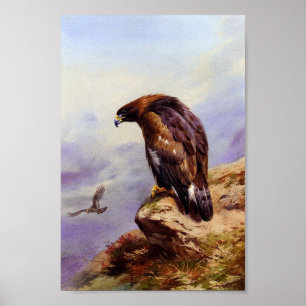 Affiche Un aigle d'or