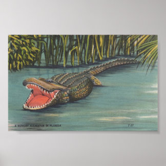 Affiche Un alligator affamé en Floride