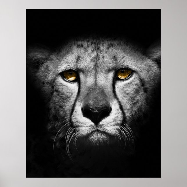 Affiche Un animal africain exotique (Devant)