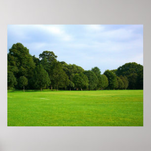 Affiche Un après-midi tranquille dans le parc