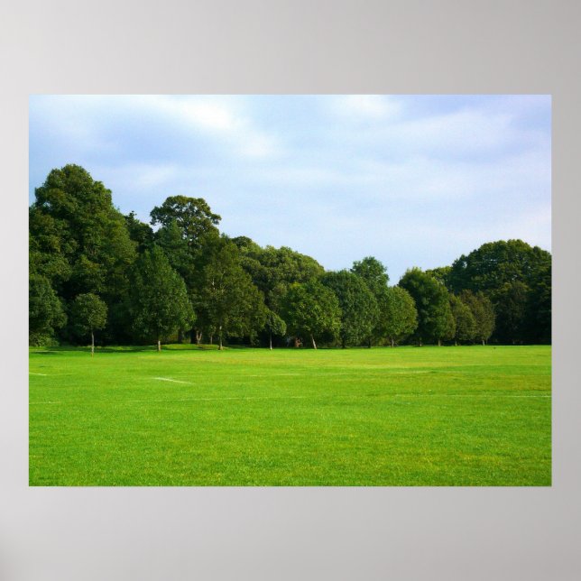 Affiche Un après-midi tranquille dans le parc (Devant)