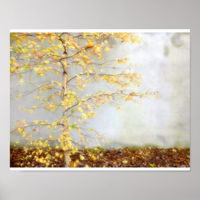 Affiche Un arbre (Devant)