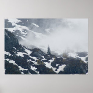Affiche Un arbre dans la brume