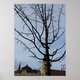 Affiche un arbre en herbe