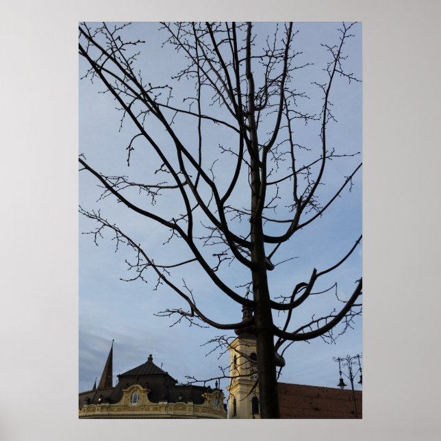 Affiche un arbre en herbe (Devant)
