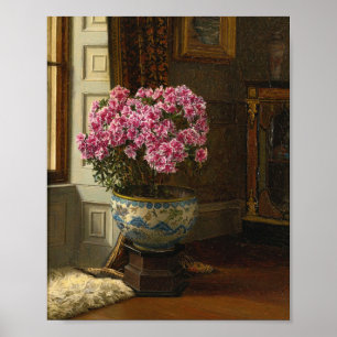 Affiche Un Azalea double rose   Jessica Hayllar