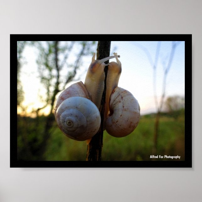 Affiche Un baiser lent et doux (Devant)