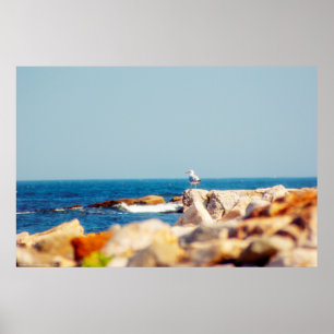 Affiche Un billet de Gull
