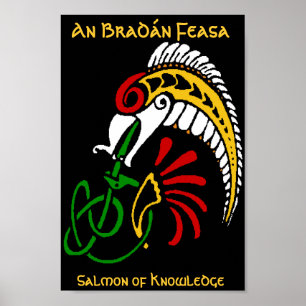 Affiche Un BradĂ n Feasa - Le Saumon de la Connaissance