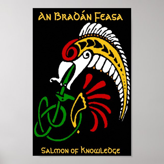 Affiche Un BradĂ n Feasa - Le Saumon de la Connaissance (Devant)