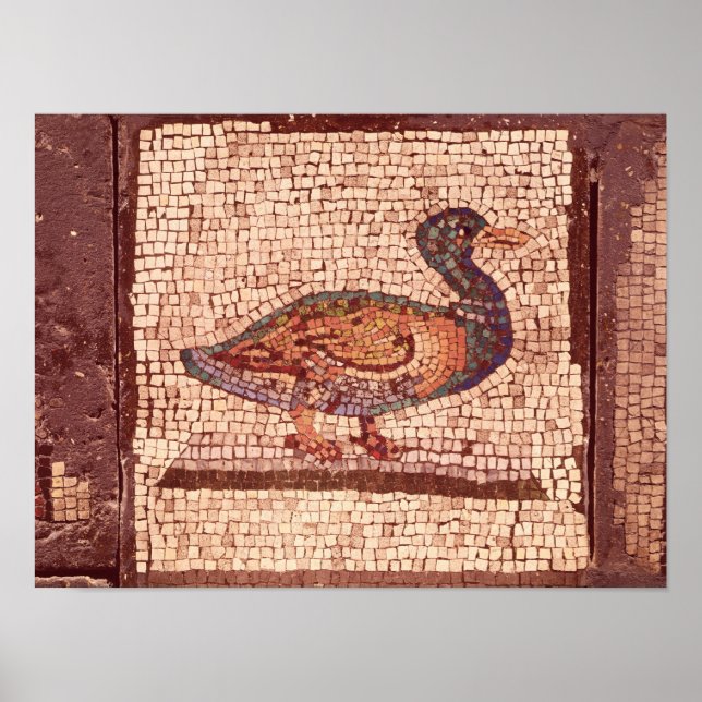 Affiche Un canard, détail d'Orphée Charme des animaux (Devant)