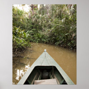 Affiche Un canot en bois fait de flotteurs d'Eucylptus en