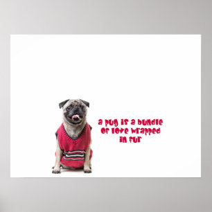 Affiche Un Carlin Est Un Ensemble D'Amour Enveloppé Dans L