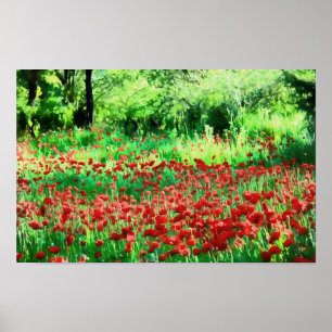 Affiche Un Champ D'Art Paysager Fleur sauvage Rouge