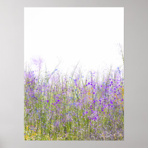 Affiche Un champ de fleurs sauvages violets