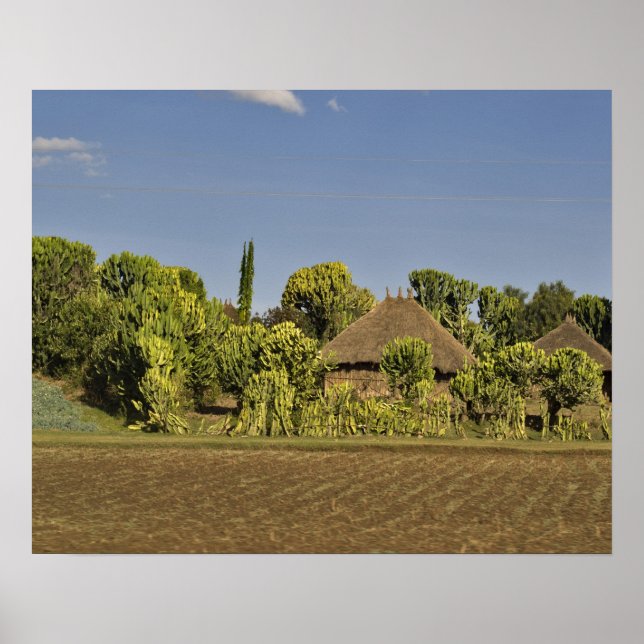 Affiche Un champ d'élevage devant des maisons aux toits de (Devant)