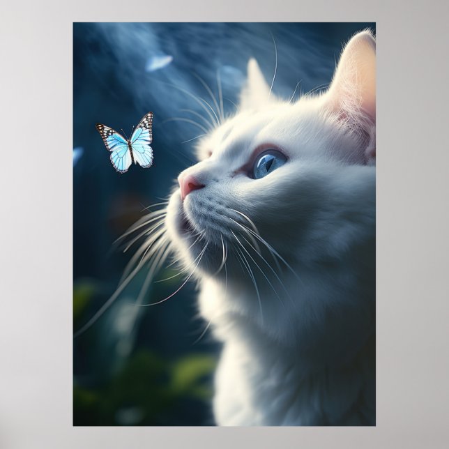 Affiche Un chat blanc aux yeux bleus regarde un papillon (Devant)