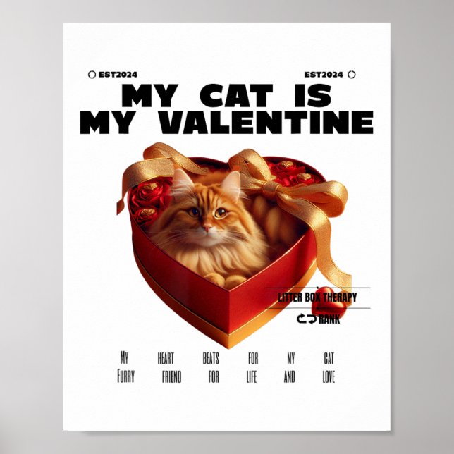 Affiche Un Chat Dans La Thérapie Box Joyeux Saint Valentin (Devant)