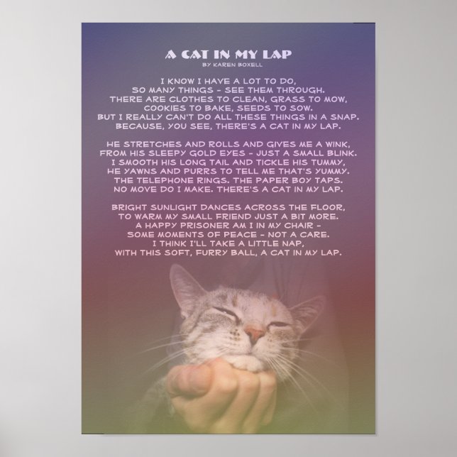 Affiche Un chat dans ma poche (Devant)