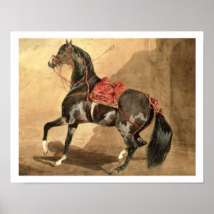 Affiche Un cheval Arabe (la semaine fixé sur le papier)