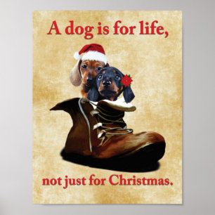 Affiche "Un chien est pour la vie, pas seulement pour Noël