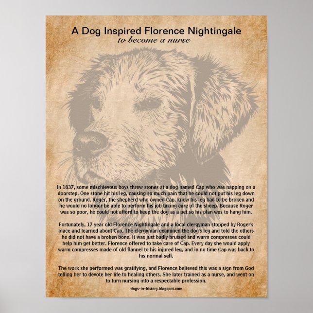 Affiche Un chien inspiré Florence Nightingale pour être un (Devant)